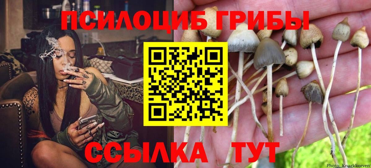 Псилоцибиновые грибы Cubensis  Вход с VPN  Галлюциногенные грибы Psilocybine cubensis  Тимашёвск 