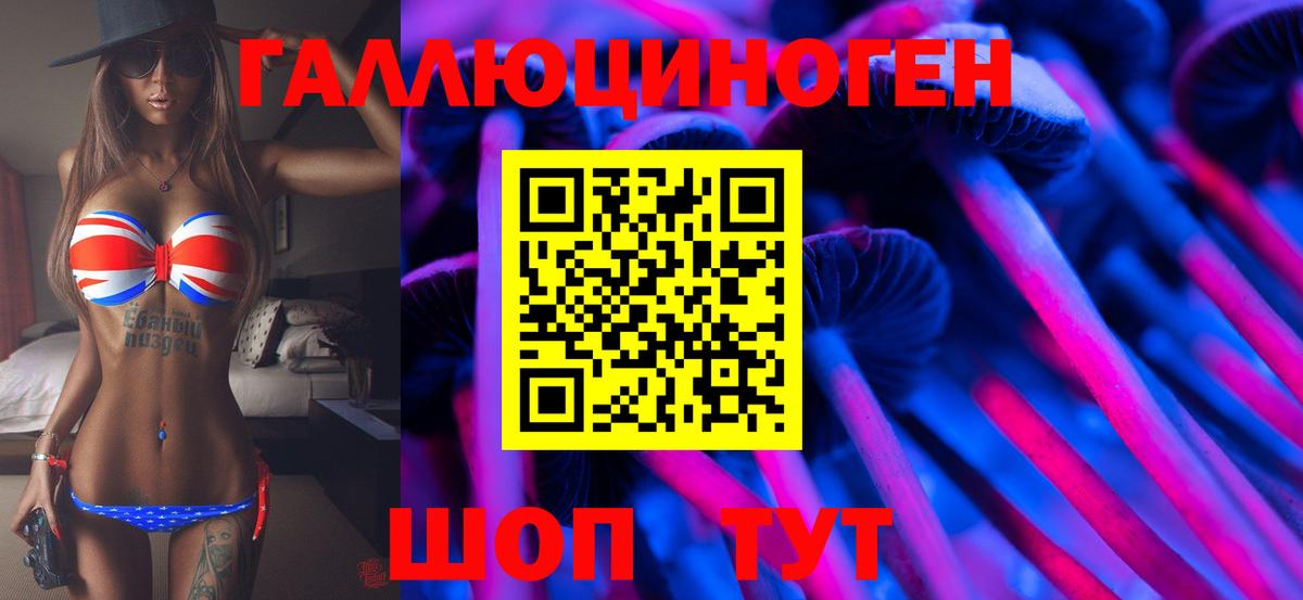Псилоцибиновые грибы GOLDEN TEACHER Тимашёвск